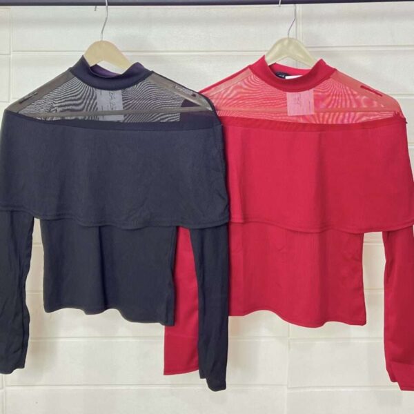 Sheer Charm Layered Top